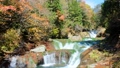 横谷渓谷（秋）：おしどり隠しの滝 94493161