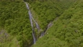 奄美 タンギョの滝の空撮 (ゆっくり旋回 / 4K 60p) 94517523