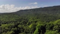 Deciduous forest in a green valley on a sunny day. Air view. Green background 94578605