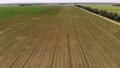 Aerial view of a mowed field on a sunny day. Videos agro complex background 94578625