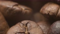 Aromatic fresh brown coffee beans close-up. slow motion over roasted sunflower seeds in a shot. Organic flavor ingredient for caffeinated drink. Background of coffee beans. 94578654