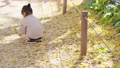スローモーション　イチョウ並木を観光する子供（育児・子育て） 94725625