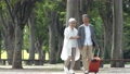 スーツケースを持って旅行する高齢者夫婦 94834925