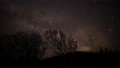 時々黒い雲に覆われながら森の向こう側に立ち昇る天の川銀河のタイムラプス映像（チルトアップ） 95104721
