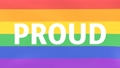 LGBTのシンボル、レインボーフラッグとプラウドのロゴが風にはためく3dcgアニメーション 95347921
