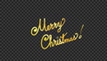 メリークリスマスと手書きでななめに描くアニメーション　アルファチャンネル　金色のペン字　英語 95905122