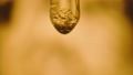 A transparent drop of liquid, oil, medicine or extract dripping from a medical glass pipette on a blurred yellow background. Serum dripping and forming air bubbles in a pipette. Concept of medicine. 96344549