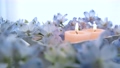 아로마 촛불과 꽃 휴식 영상 소재 96351693