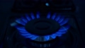 Gas blue stove flame. Use of propane butane in the European Union for kitchen and home heating. Oil and gas industry, crisis, resources, economy concept. 96362695