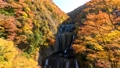 紅葉が美しい袋田の滝 96506068
