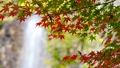紅葉と滝の日本をイメージした映像 96542803