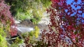 紅葉と滝の日本をイメージした映像 96604532