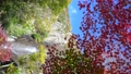 紅葉と滝の日本をイメージした映像 96604533