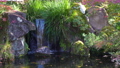 日本庭園の景色 96655374
