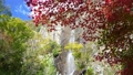 紅葉と滝の日本をイメージした映像 96660835