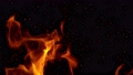Super slow motion of fire isolated on black background. Filmed on high speed cinema camera 98579459