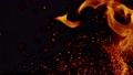 Super slow motion of fire isolated on black background. Filmed on high speed cinema camera 98579460
