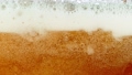 Super slow motion of macro shot of beer drink bubbling, close-up. Filmed on high speed cinema camera, 1000 fps. 98579466
