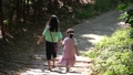 Back view of two girls walking on a small path in the woods 98877813