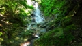 West Tanzawa Morokubo Waterfall Scenery 99647440