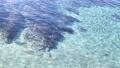 神奈川縣三浦海水浴場，清澈湛藍的海水，美麗的漣漪 99723110