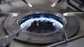 Gas stove 99993279