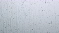 Rain drops on window. Rainy weather. Closeup 100131665