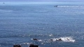 神奈川県三浦海岸、キラキラと輝く海を渡る船 100171045