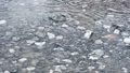 Ripples of raindrops spreading in a puddle, relaxing rhythm 1/f fluctuation [slow motion] 100295495