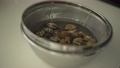 用鋁箔紙把蛤蜊蓋在碗裡 100869639