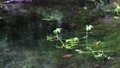 Fresh water 106156800